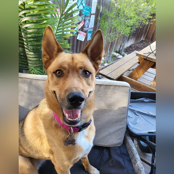 Meet your Posher, Jenni - Picture 5 of 6